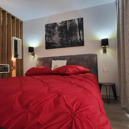 Apartment Alexandra Brasov